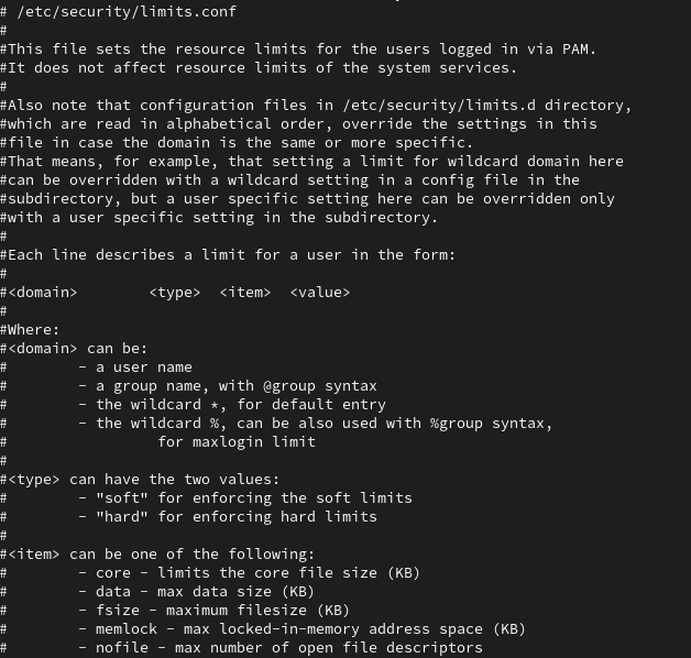 Конфигурационный файл /etc/security/limits.conf