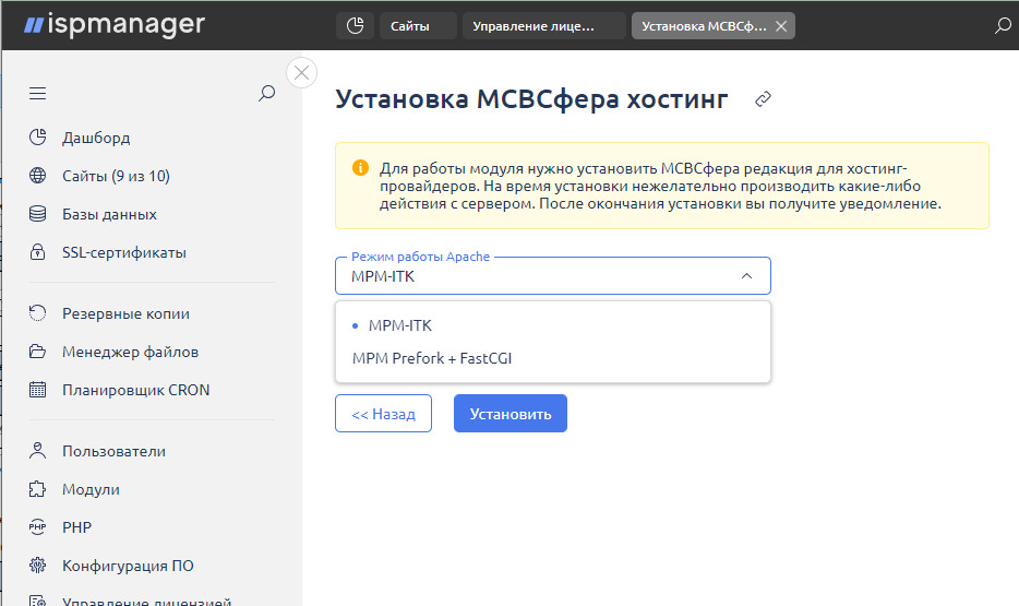 Варианты установки ispmanager