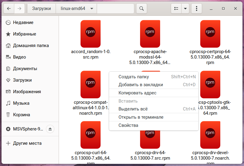 Открыть в терминале
