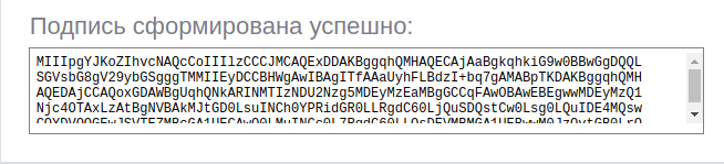 Содержимое подписи